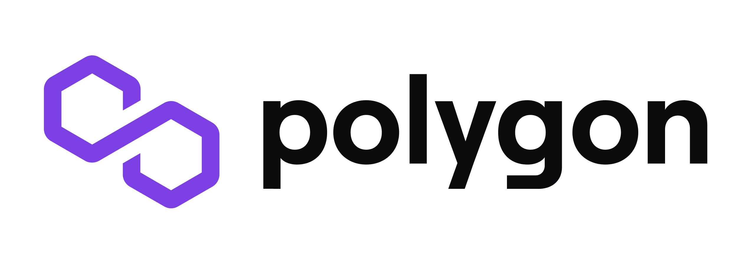 icon polygon